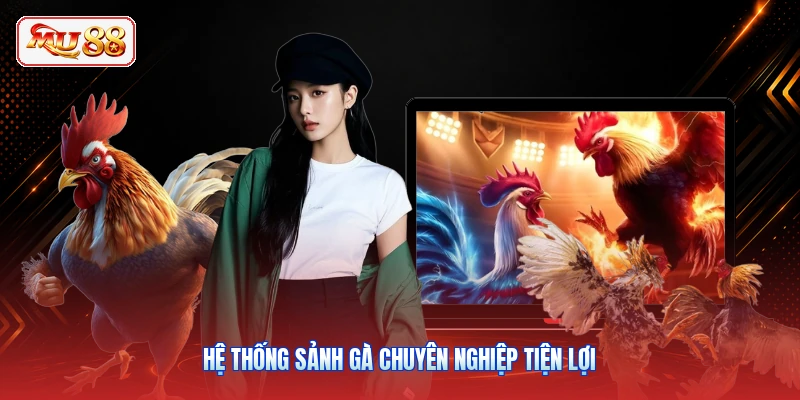 Hệ thống sảnh gà chuyên nghiệp tiện lợi