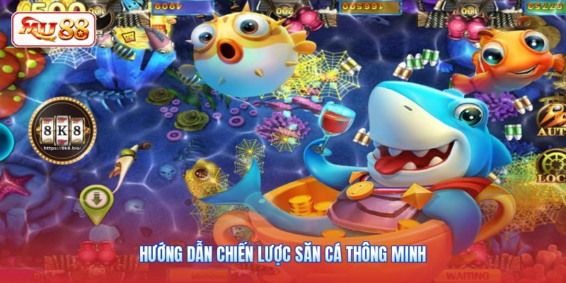 Hướng dẫn chiến lược săn cá thông minh
