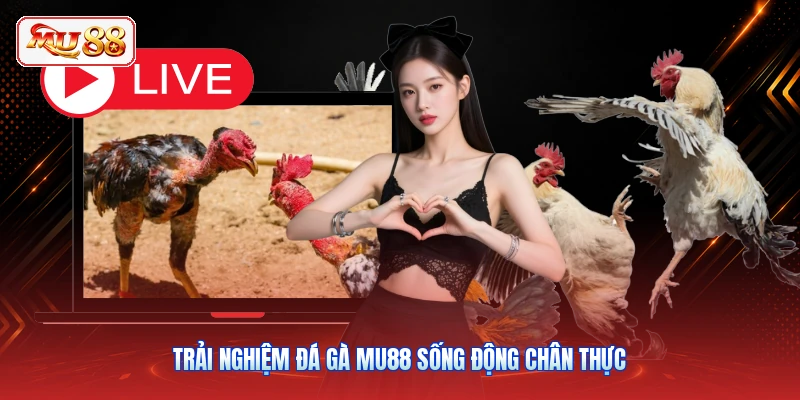 Trải nghiệm đá gà MU88 sống động chân thực